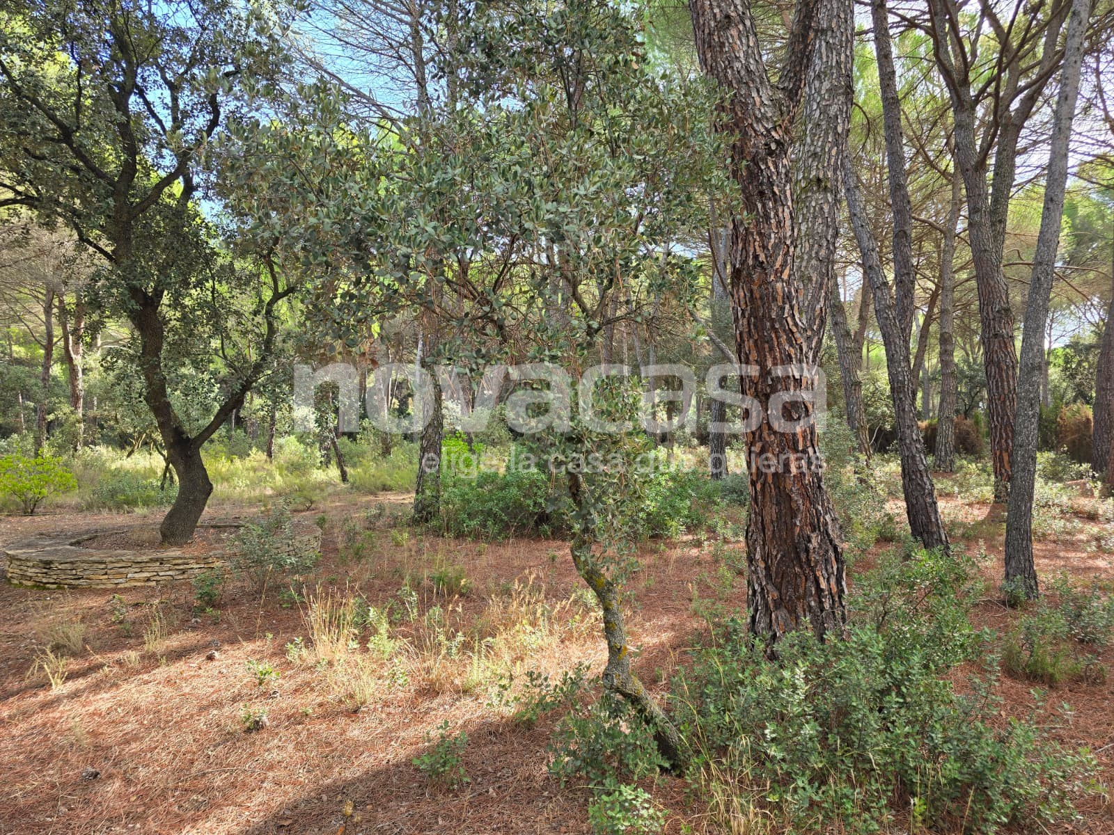 IMG-20251014-WA0000